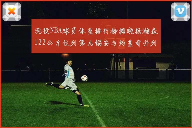 现役NBA球员体重排行榜揭晓杨瀚森122公斤位列第九锡安与约基奇并列第三