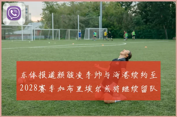 东体报道颜骏凌李帅与海港续约至2028赛季加布里埃尔或将继续留队