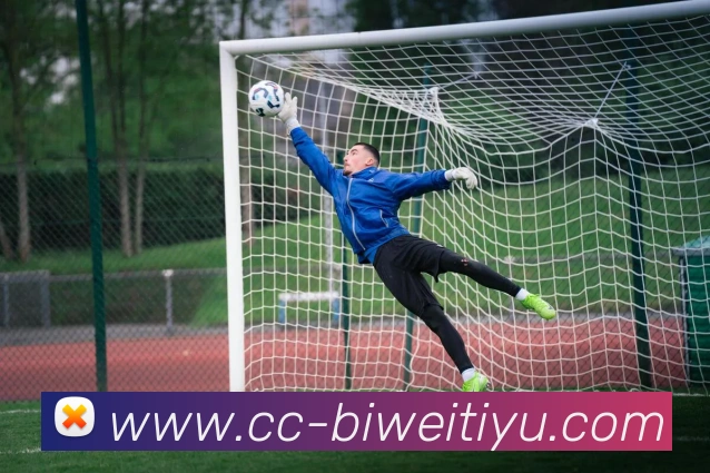 必威体育服务体系