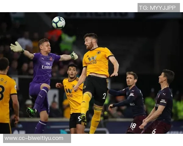 狼队多赫蒂成功接受腕舟骨骨折手术预计短期内重返赛场 狼队多赫蒂成功接受腕舟骨骨折手术预计短期内重返赛场