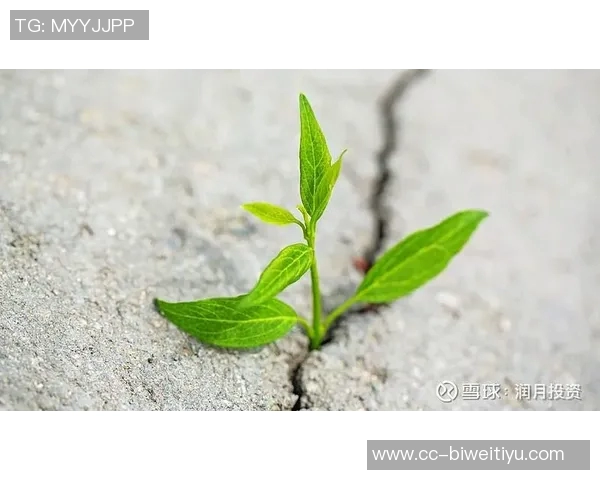 文班坦言实战经验是成长的必经之路曲线并非一帆风顺 文班坦言实战经验是成长的必经之路曲线并非一帆风顺