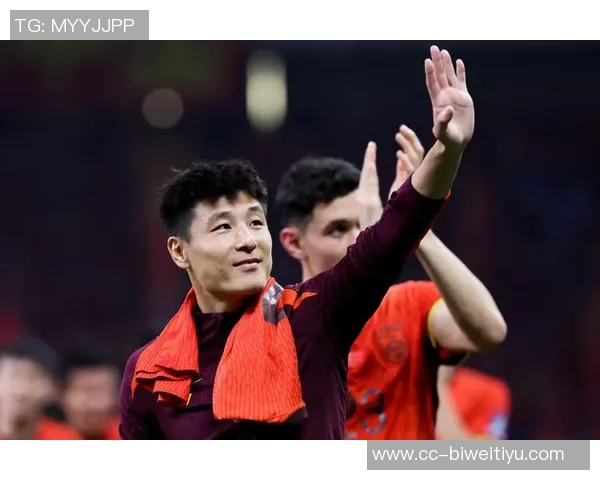 中超球员身价最新排名米特里策领衔蒋圣龙大幅上涨武磊身价下滑至50万